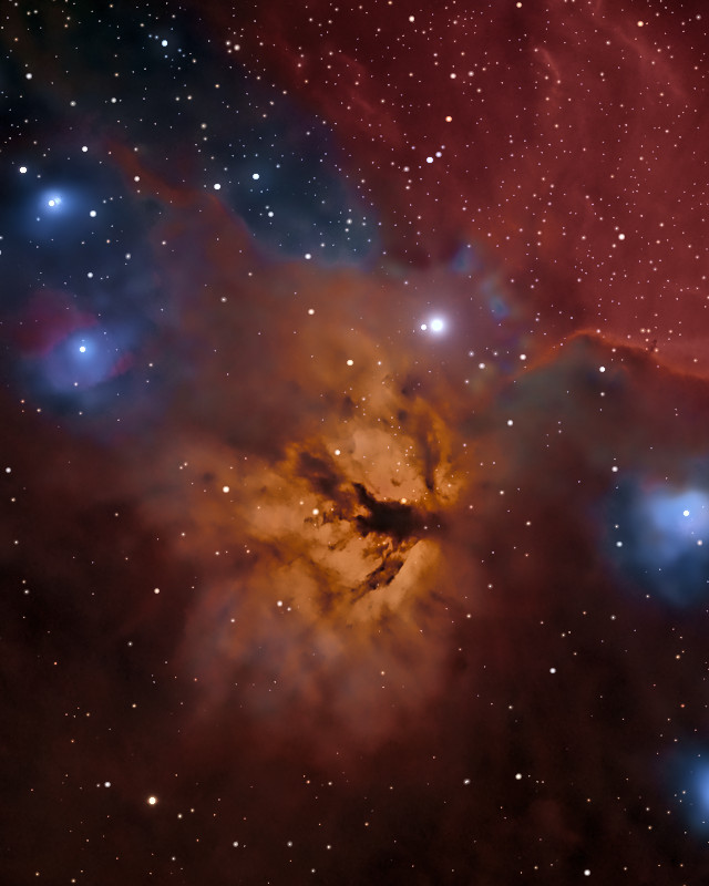 暗いちりの筋が走る金色の燃える木星雲と、そばで輝く白い星アルニタク / The golden Flame Nebula, crossed by dark lanes of dust, with the white star Alnitak shining beside it